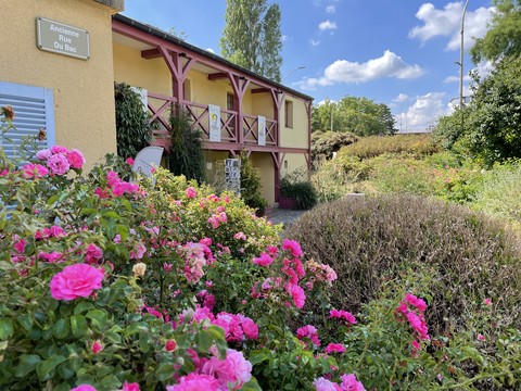 Musée Fournaise